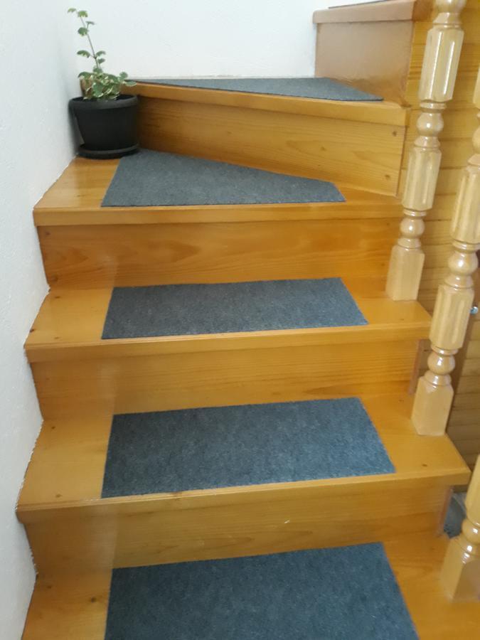 Rooms Skorpijon Žabljak Esterno foto